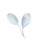 about bg flower